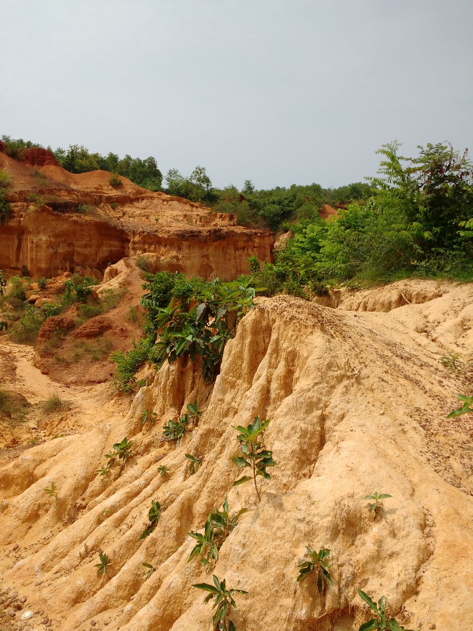 Photo of Gangani - ( Not) the Grand Canyon of West Bengal by Sumona Dey