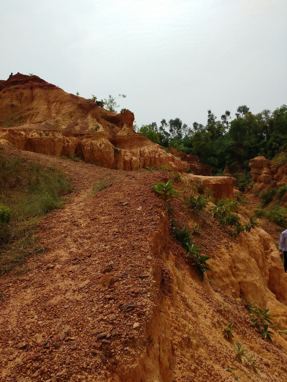 Photo of Gangani - ( Not) the Grand Canyon of West Bengal by Sumona Dey