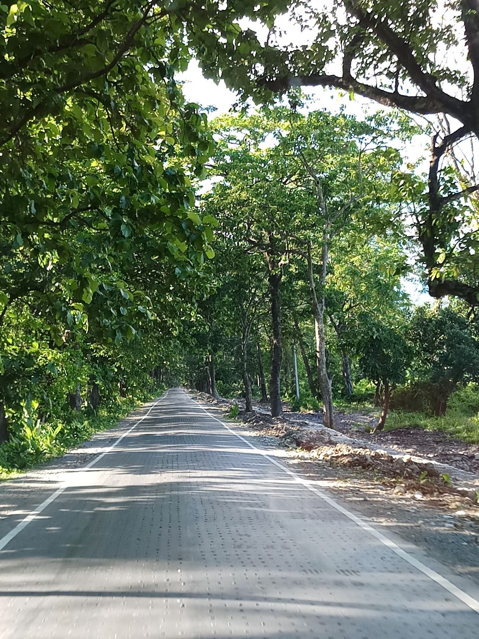 Photo of Weekend Destination in Duars : Hatipota by Sumona Dey