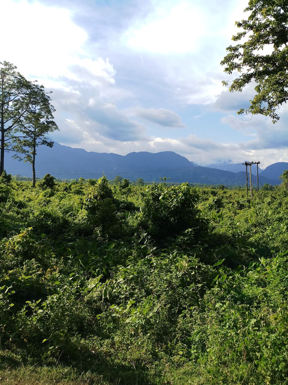 Photo of Weekend Destination in Duars : Hatipota by Sumona Dey