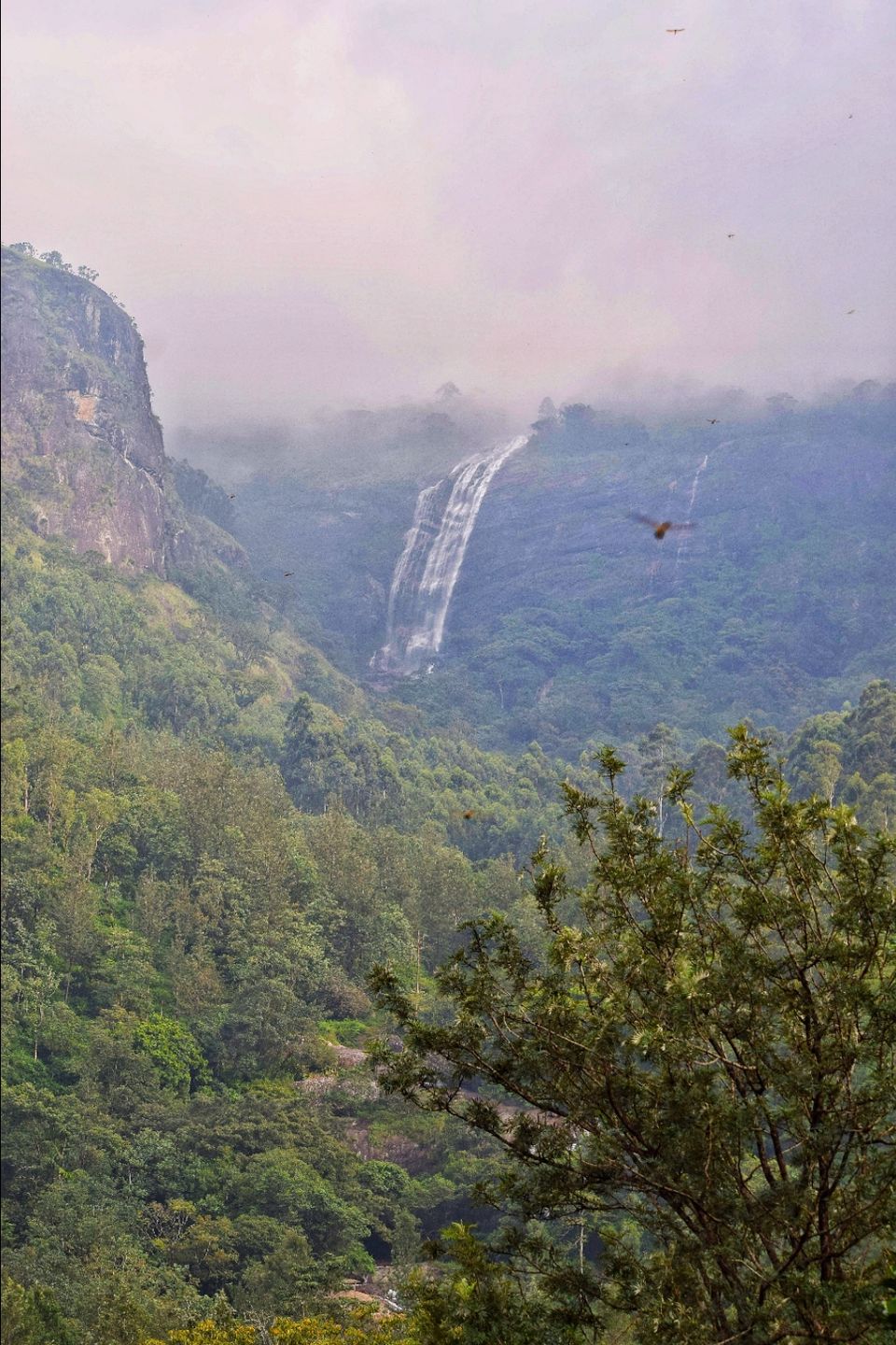 Photo of Munnar, Kerala, India by Tushar Gupta