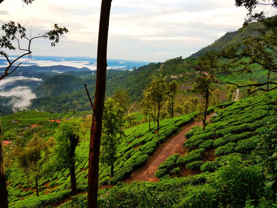 Photo of Tea Valley Resort, Munnar, Kerala, India by Tushar Gupta