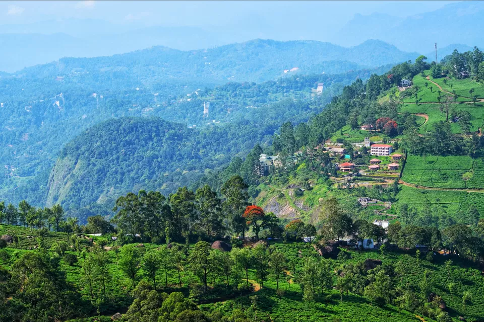 Photo of Pothamedu View Point, Kerala, India by Tushar Gupta