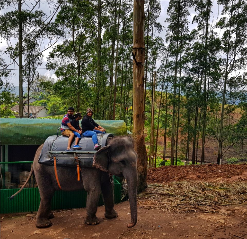 Photo of ELEPHANT COURTYARD, Munnar, Kerala, India by Tushar Gupta