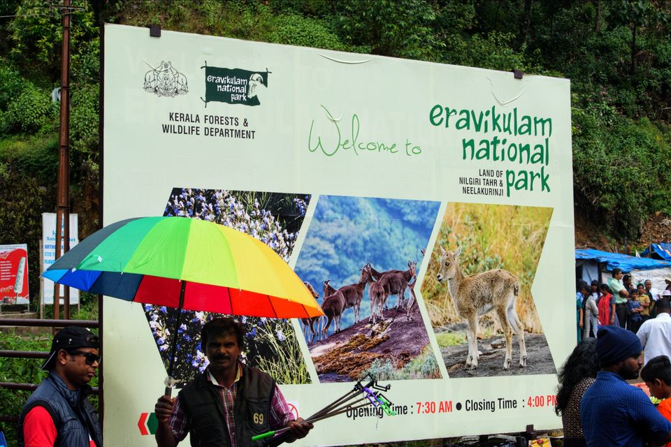 Photo of Eravikulam National Park, Kerala, India by Tushar Gupta