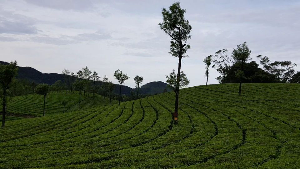 Photo of Eravikulam National Park, Kerala, India by Tushar Gupta