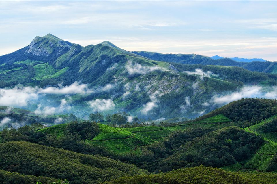 Photo of Eravikulam National Park, Kerala, India by Tushar Gupta
