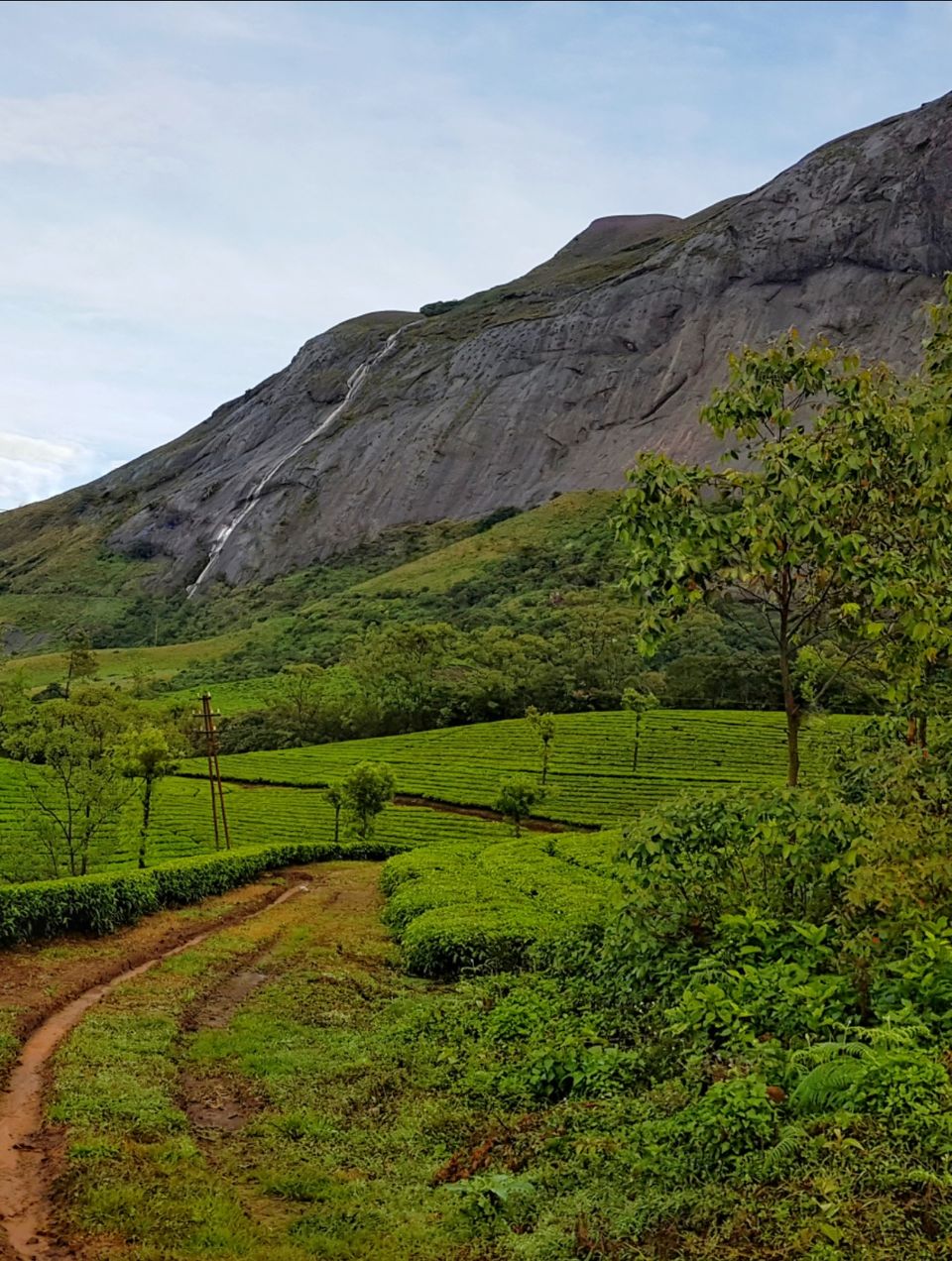 Photo of Eravikulam National Park, Kerala, India by Tushar Gupta