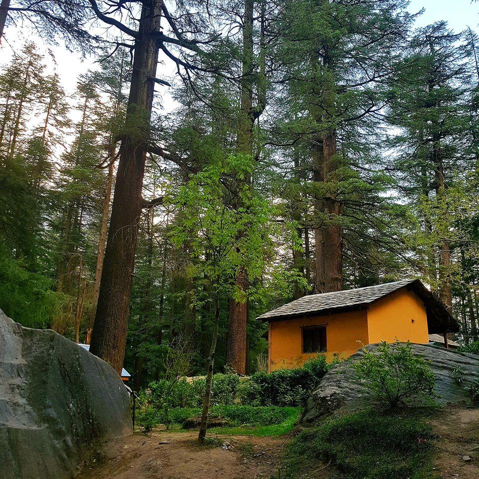 Photo of Hadimba Devi Temple, Manali, Himachal Pradesh, India by Tushar Gupta
