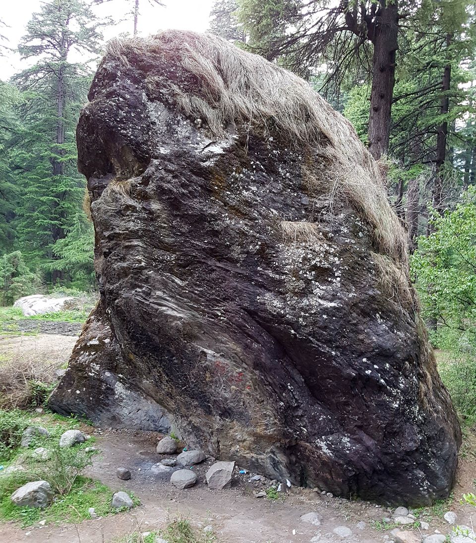 Photo of Van Vihar, Old Manali, Manali, Himachal Pradesh, India by Tushar Gupta