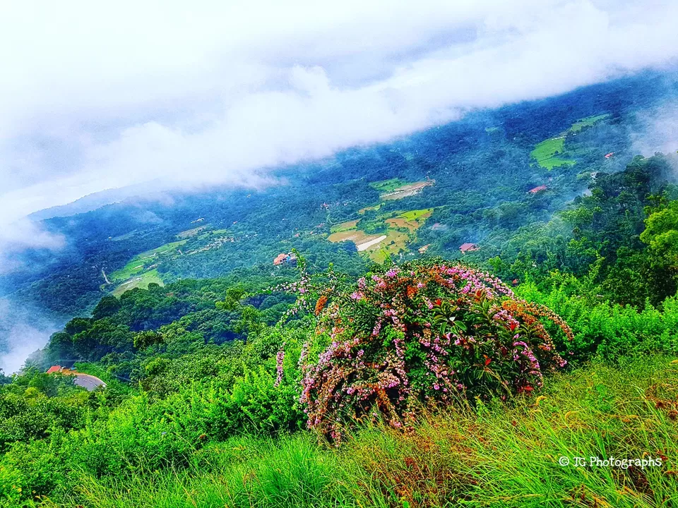 Photo of Exploring Coorg : A brief travelogue of my experience by Tushar Gupta