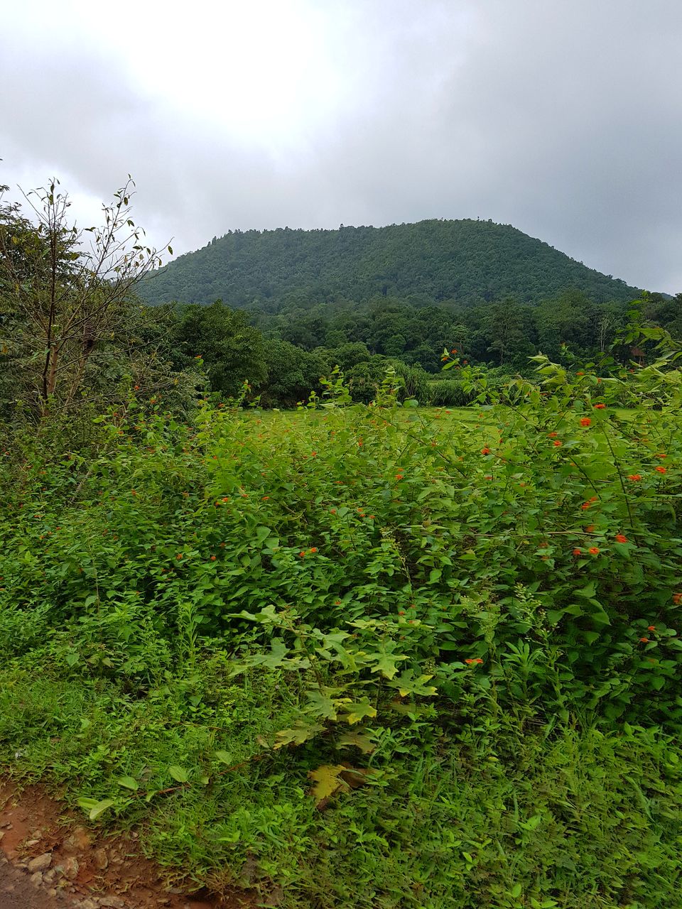 Photo of Exploring Coorg : A brief travelogue of my experience by Tushar Gupta