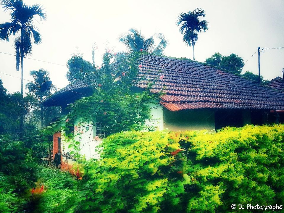 Photo of Brahmagiri, Manchalli, Karnataka, India by Tushar Gupta