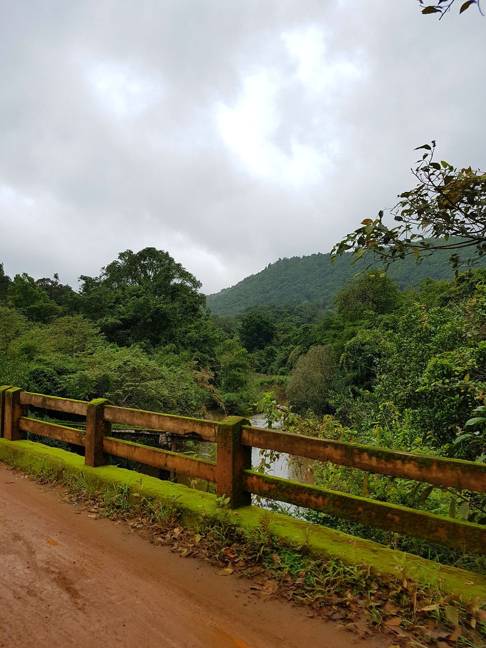 Photo of Brahmagiri, Manchalli, Karnataka, India by Tushar Gupta