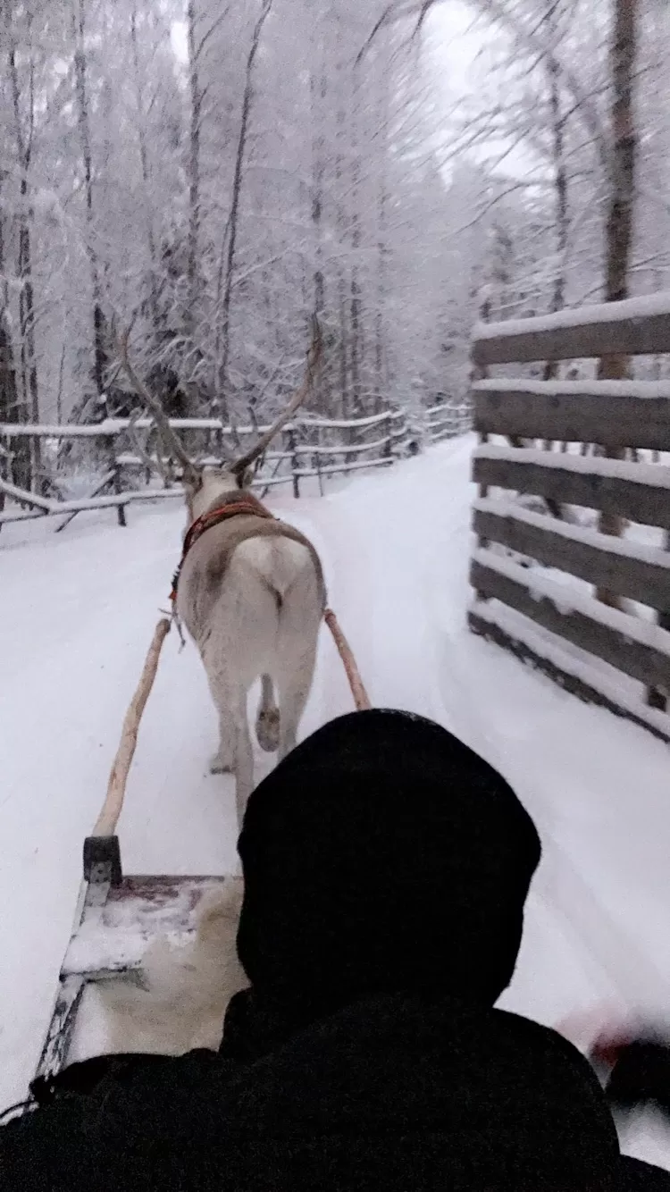 Photo of Rovaniemi, Finland by Pratyancha J Goyal