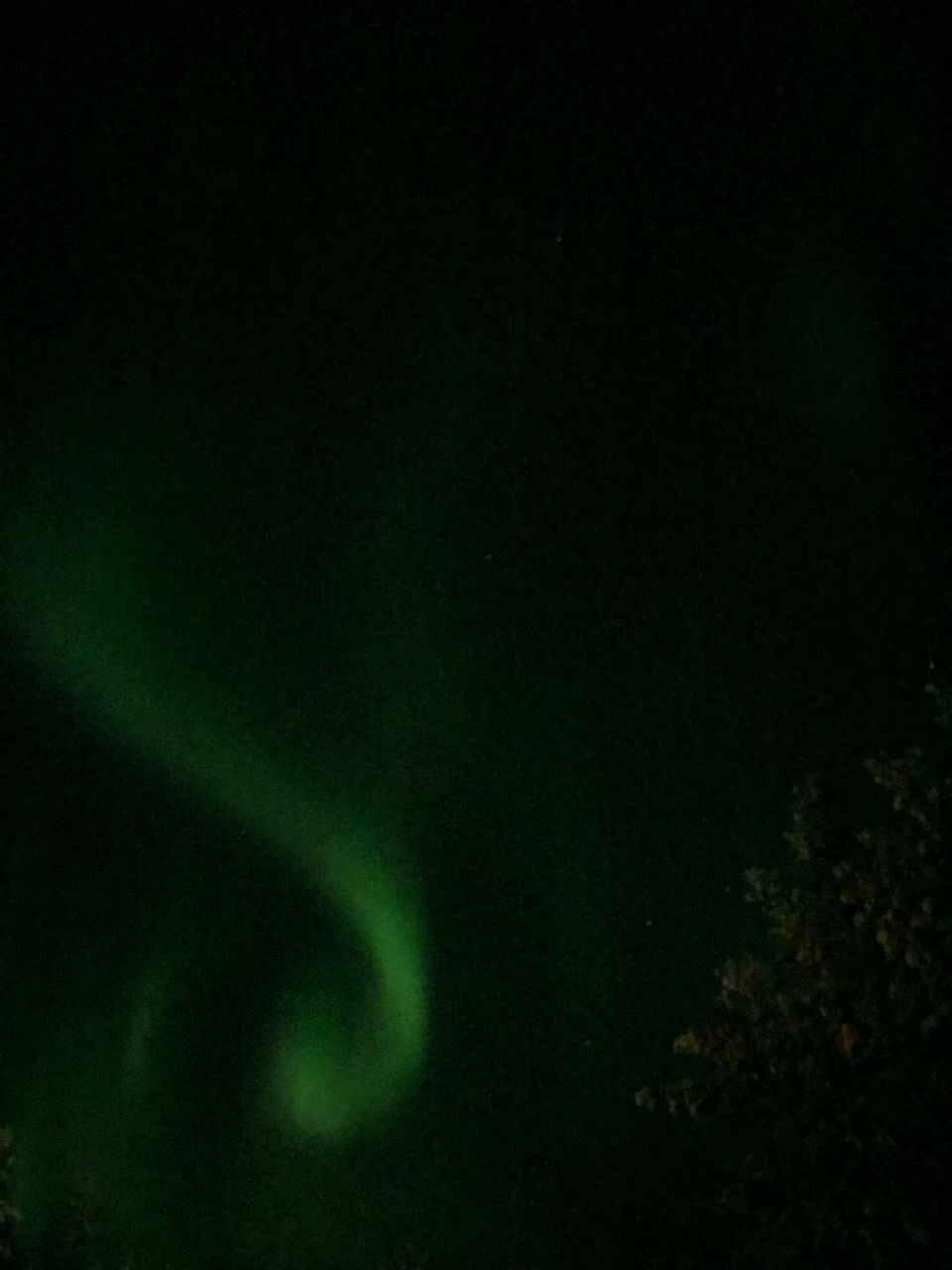 Photo of Want to experience Ten Bucket list things in one trip, head to Lapland ! by Pratyancha J Goyal