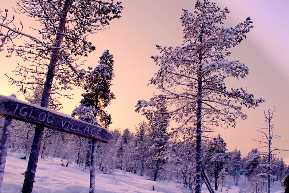 Photo of Want to experience Ten Bucket list things in one trip, head to Lapland ! by Pratyancha J Goyal