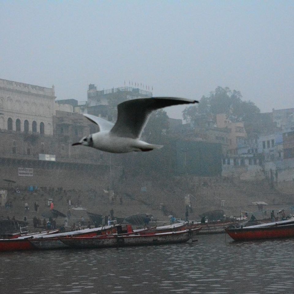 Photo of Assi Ghat, Varanasi, Uttar Pradesh, India by NIKHIL JAIN