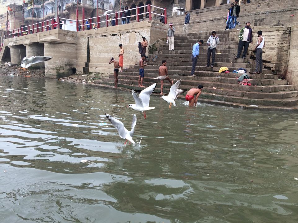 Photo of Varanasi: Tranquality in Chaos by NIKHIL JAIN