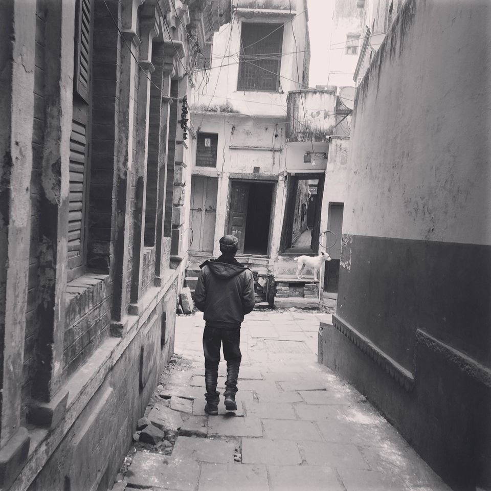 Photo of Varanasi: Tranquality in Chaos by NIKHIL JAIN