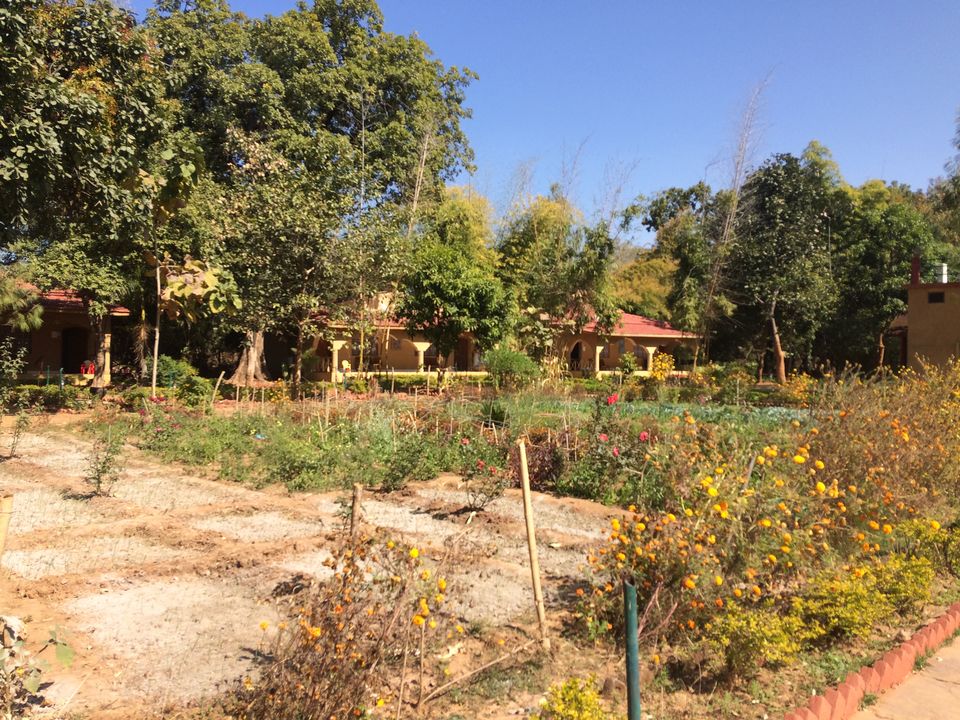 Photo of Ashoka Resort, Bandhavgarh, Madhya Pradesh, India by NIKHIL JAIN