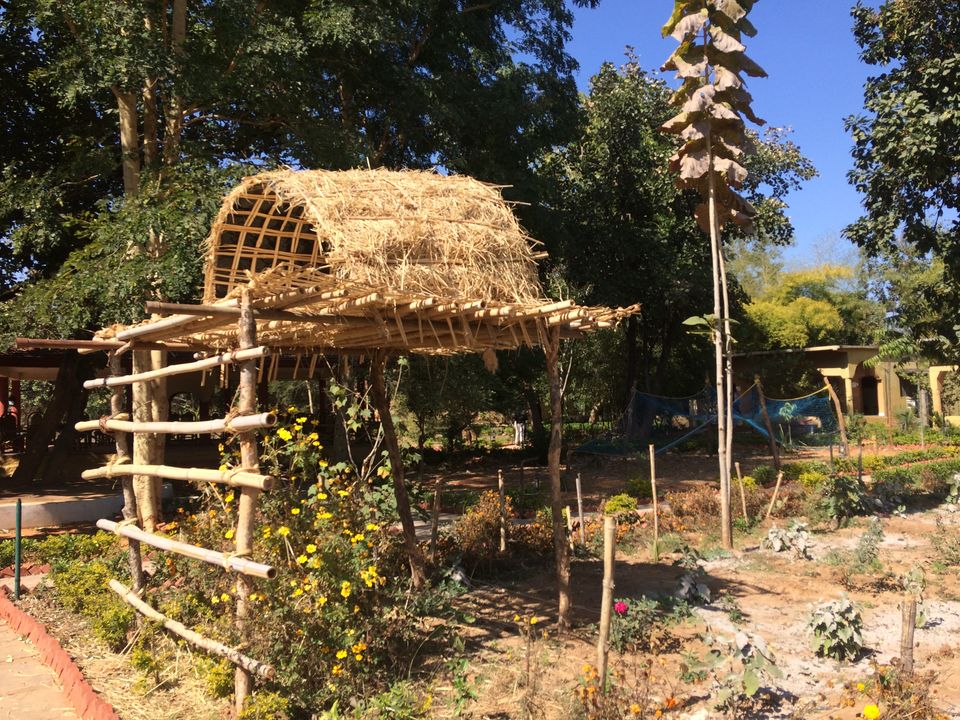 Photo of Ashoka Resort, Bandhavgarh, Madhya Pradesh, India by NIKHIL JAIN