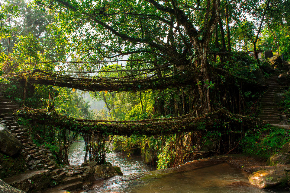 Photo of Exploring Meghalaya in Karwaan #Homeonwheels 6/13 by NIKHIL JAIN