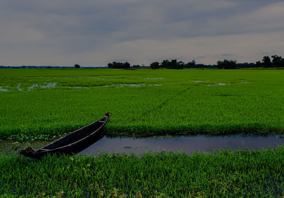 Photo of A complete guide to Experience Majuli by NIKHIL JAIN
