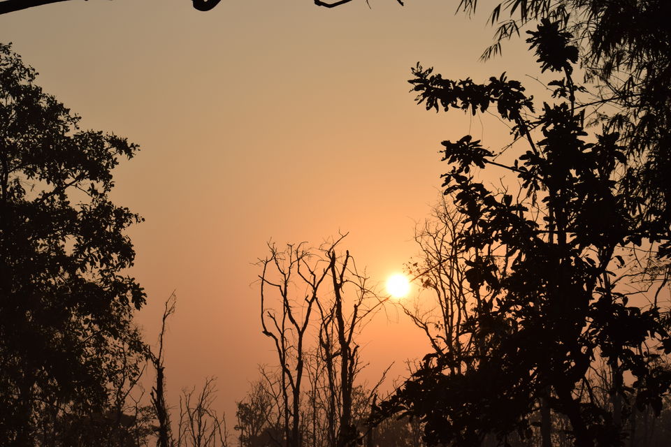 Photo of Nomad..Pune-Nagpur-Tadoba-Jabalpur.... 10/14 by Ashwin Joseph