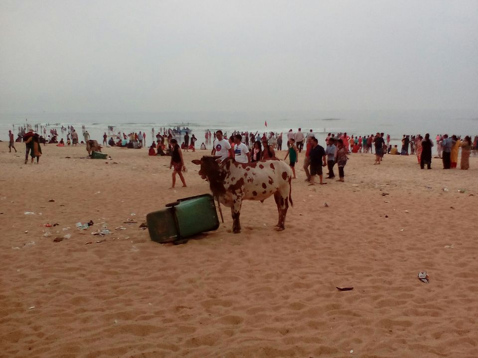 Photo of North Goa:Not just for backpackers and budget travellers: A complete Guide by Neha Patnaik