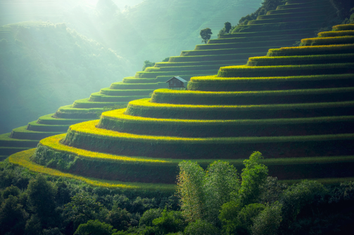 Photo of 7 Things I Learnt while traveling and living in Bali by Hiren Joshi 5/7 by Hiren Joshi