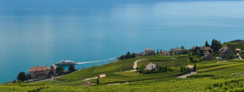 Photo of Switzerland at a Glimpse by Switzerland Tour