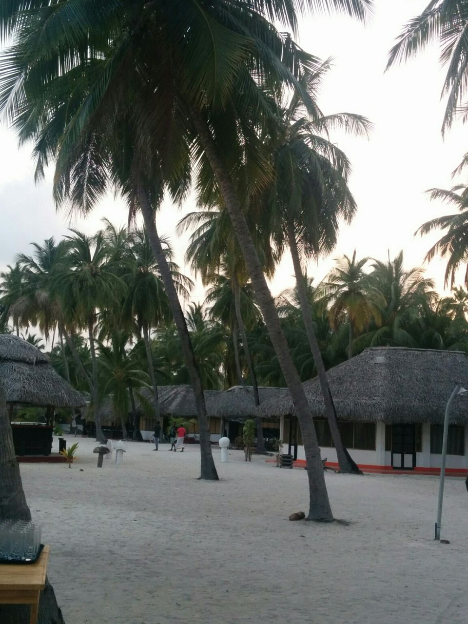 Photo of The cure for anything is salt water : sweat, tears or The Sea ...My journey to Lakshadweep by Nidhi Sumnyan