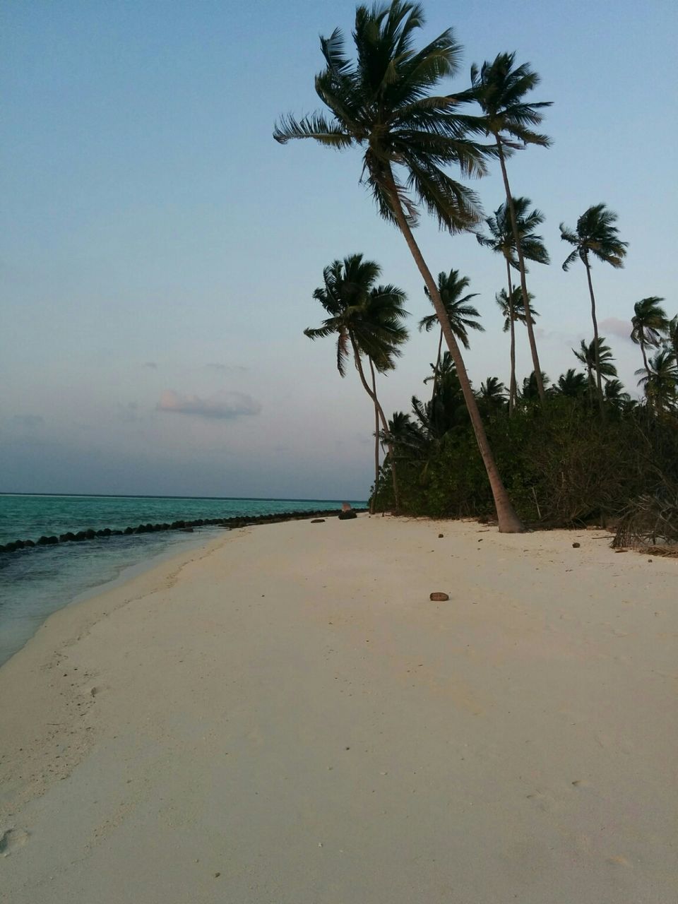 Photo of The cure for anything is salt water : sweat, tears or The Sea ...My journey to Lakshadweep by Nidhi Sumnyan