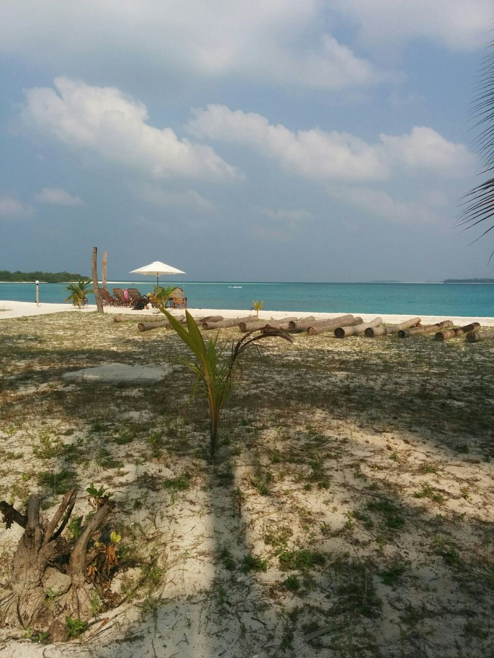 Photo of The cure for anything is salt water : sweat, tears or The Sea ...My journey to Lakshadweep by Nidhi Sumnyan