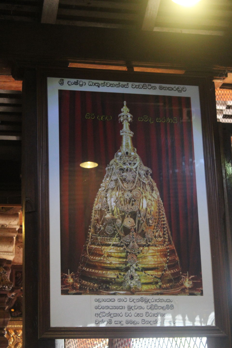 Photo of Sri Lanka- From the lens of a budget traveller 6/16 by apurvee haridwaj