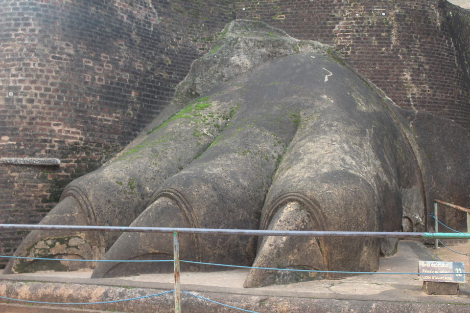Photo of Sri Lanka- From the lens of a budget traveller 7/16 by apurvee haridwaj