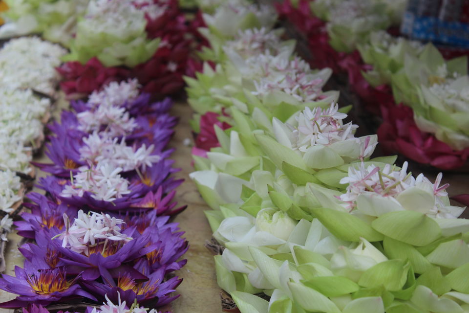 Photo of Sri Lanka- From the lens of a budget traveller 8/16 by apurvee haridwaj