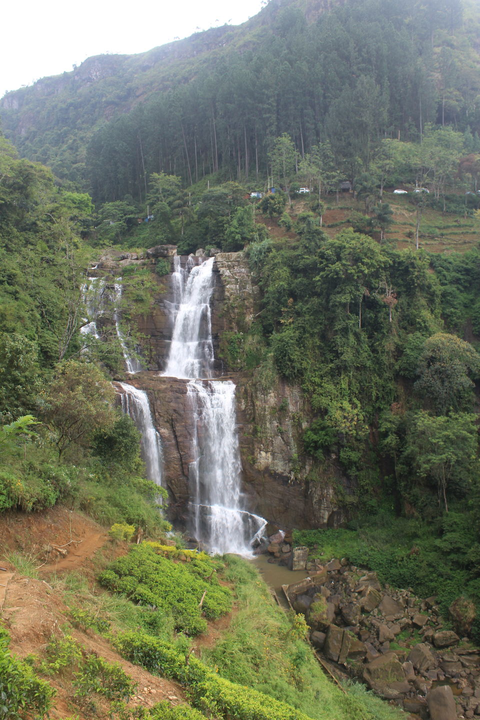 Photo of Sri Lanka- From the lens of a budget traveller 10/16 by apurvee haridwaj