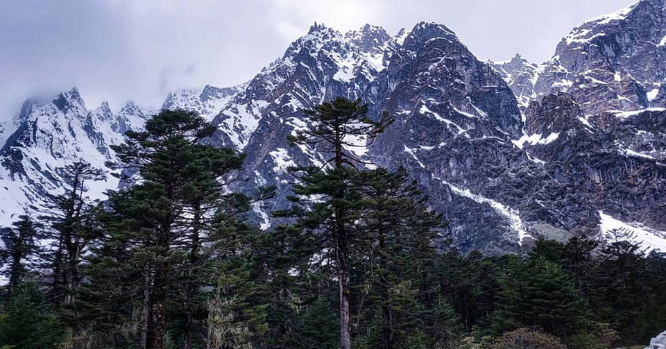 Photo of Zero Point Yumthang Valley, Sikkim, India by Priyanka & Sagar