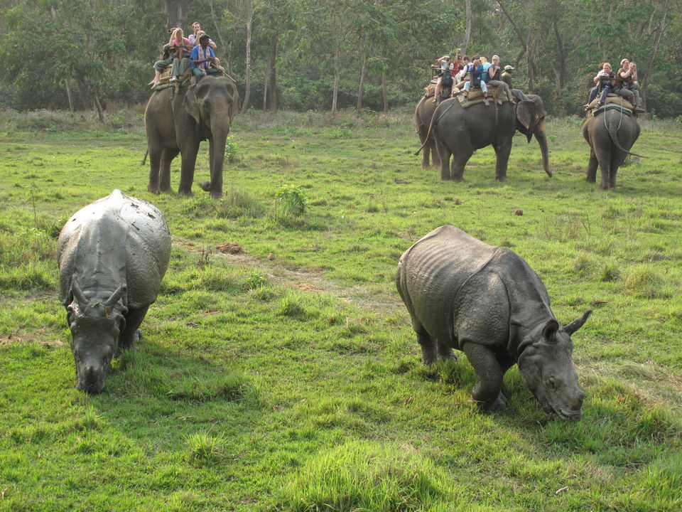 Photo of 8 Days Tour (Kathmandu, Pokhara, Palpa, Lumbini, Chitwan) by Sunrise Adventure Trek & Expedition P. Ltd