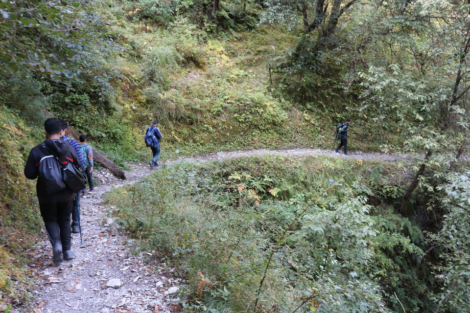 Photo of Didna, Uttarakhand, India by Aanjikya Shukla