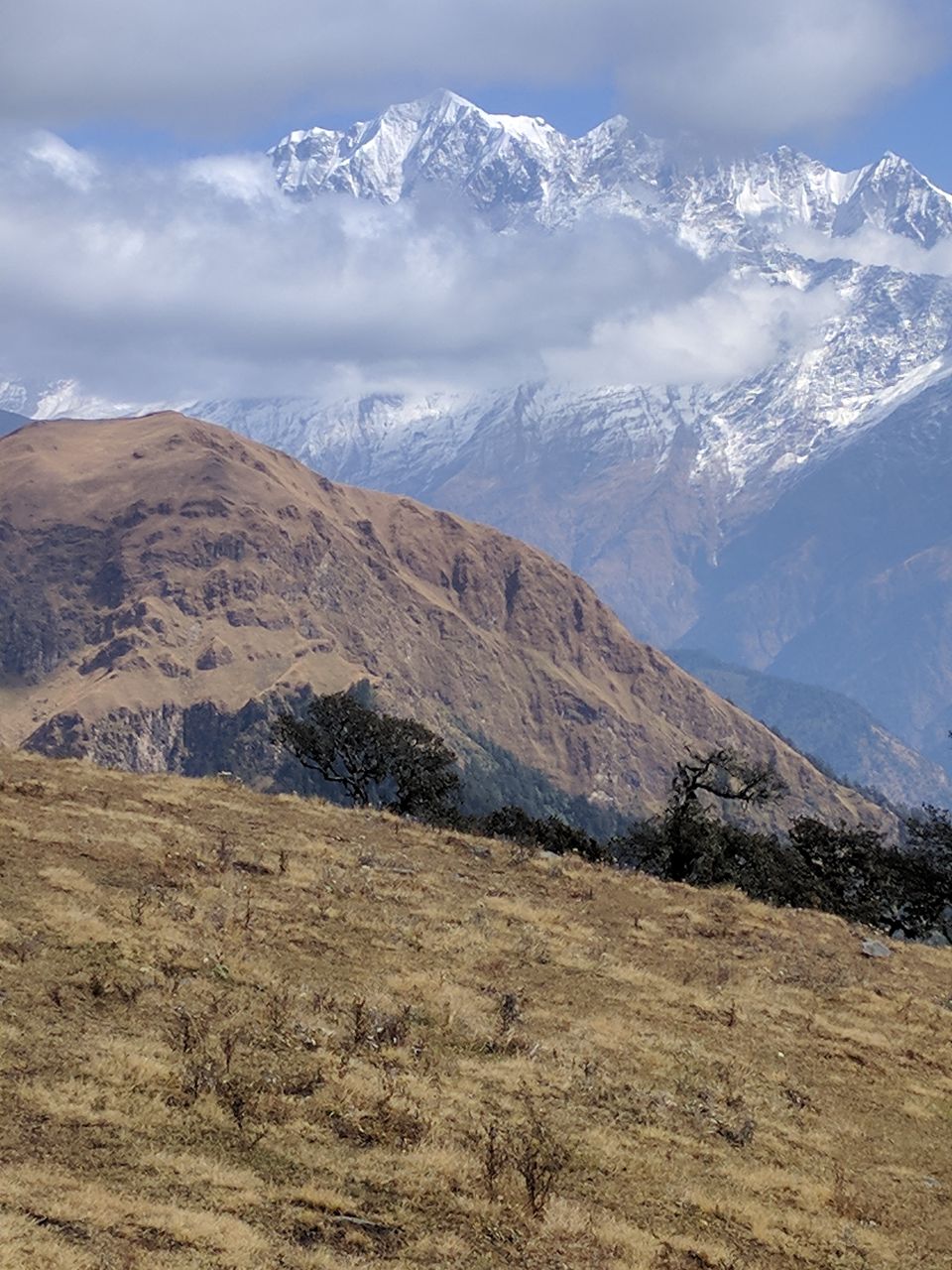 Photo of Bedni bugyal, Chamoli, Uttarakhand, India by Aanjikya Shukla