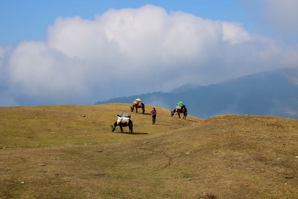 Photo of My First Himalayan Trek : Roopkund -The Myth And The Mystery by Aanjikya Shukla