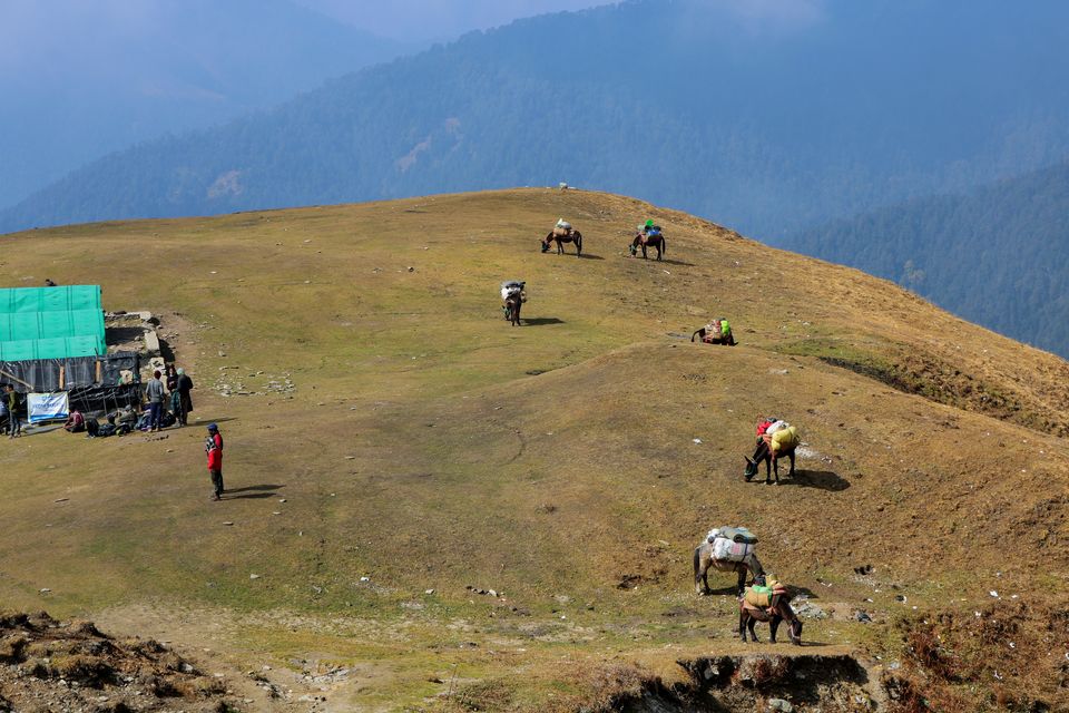 Photo of My First Himalayan Trek : Roopkund -The Myth And The Mystery by Aanjikya Shukla