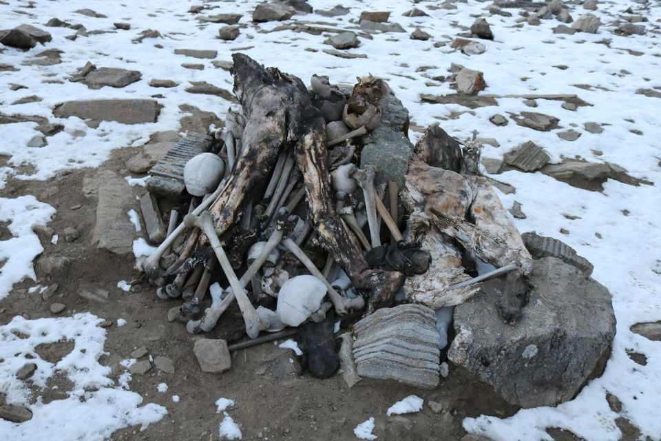 Photo of My First Himalayan Trek : Roopkund -The Myth And The Mystery by Aanjikya Shukla