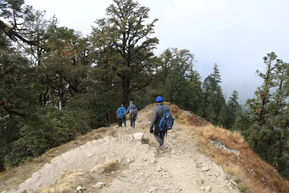 Photo of Wan, Uttarakhand, India by Aanjikya Shukla