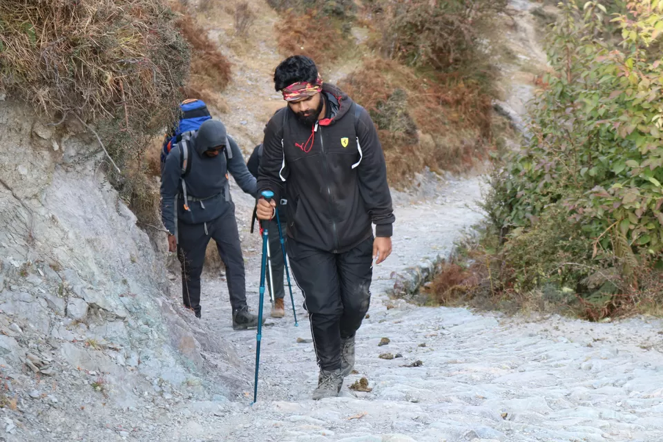 Photo of Wan, Uttarakhand, India by Aanjikya Shukla