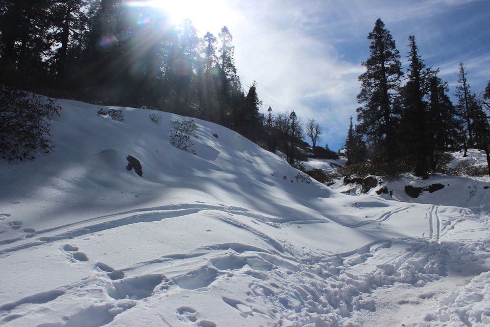 Photo of KedarKantha - A complete guide to a Paradise by Sayak Das