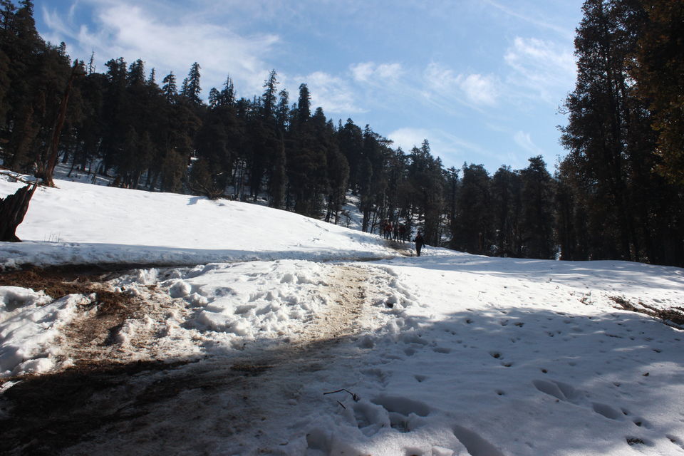 Photo of KedarKantha - A complete guide to a Paradise by Sayak Das